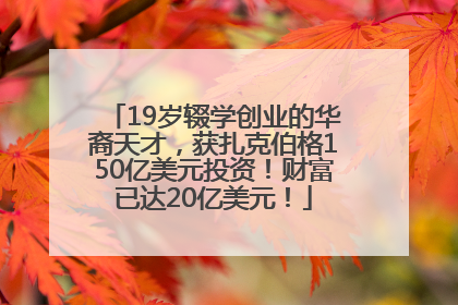 19岁辍学创业的华裔天才，获扎克伯格150亿美元投资！财富已达20亿美元！