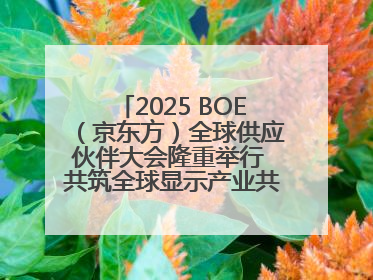 2025 BOE（京东方）全球供应伙伴大会隆重举行 共筑全球显示产业共生共赢新格局