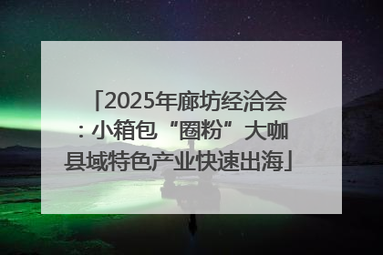 2025年廊坊经洽会：小箱包“圈粉”大咖 县域特色产业快速出海