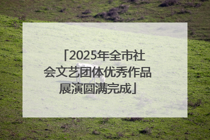 2025年全市社会文艺团体优秀作品展演圆满完成