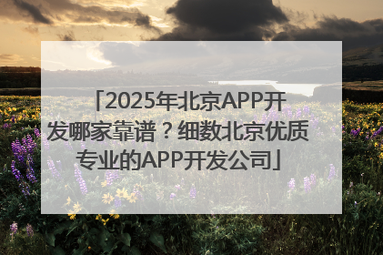 2025年北京APP开发哪家靠谱？细数北京优质专业的APP开发公司