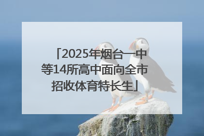 2025年烟台一中等14所高中面向全市招收体育特长生