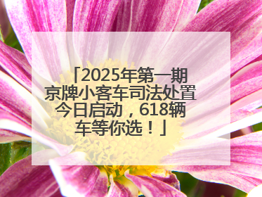 2025年第一期京牌小客车司法处置今日启动，618辆车等你选！
