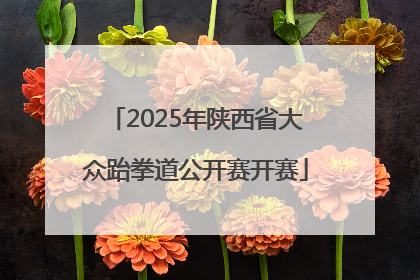 2025年陕西省大众跆拳道公开赛开赛