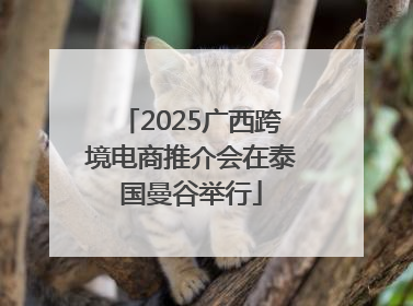 2025广西跨境电商推介会在泰国曼谷举行