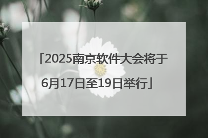 2025南京软件大会将于6月17日至19日举行