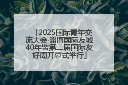2025国际青年交流大会·淄博国际友城40年暨第二届国际友好周开幕式举行