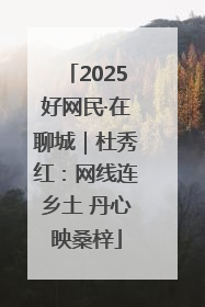 2025好网民·在聊城｜杜秀红：网线连乡土 丹心映桑梓