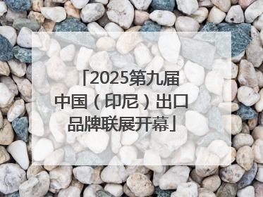 2025第九届中国（印尼）出口品牌联展开幕