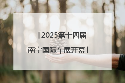 2025第十四届南宁国际车展开幕