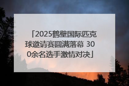 2025鹤壁国际匹克球邀请赛圆满落幕 300余名选手激情对决