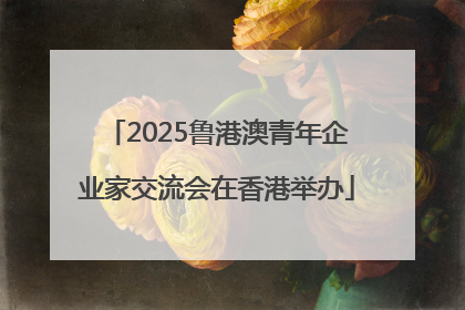 2025鲁港澳青年企业家交流会在香港举办