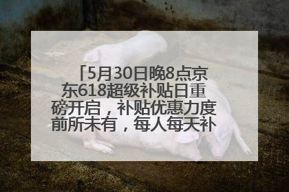5月30日晚8点京东618超级补贴日重磅开启，补贴优惠力度前所未有，每人每天补贴超6180元！