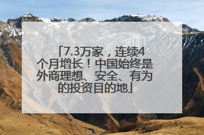 7.3万家，连续4个月增长！中国始终是外商理想、安全、有为的投资目的地