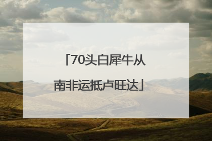 70头白犀牛从南非运抵卢旺达