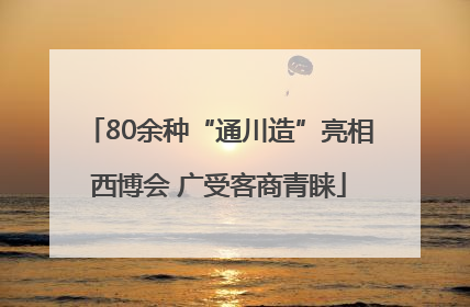 80余种“通川造”亮相西博会 广受客商青睐
