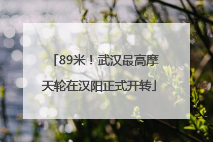 89米！武汉最高摩天轮在汉阳正式开转