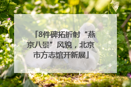 8件碑拓折射“燕京八景”风貌，北京市方志馆开新展