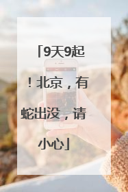 9天9起！北京，有蛇出没，请小心