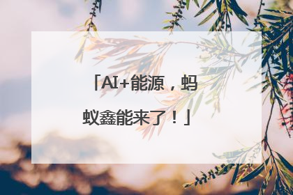 AI+能源，蚂蚁鑫能来了！