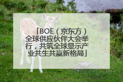 BOE（京东方）全球供应伙伴大会举行，共筑全球显示产业共生共赢新格局