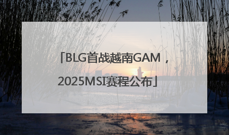 BLG首战越南GAM，2025MSI赛程公布