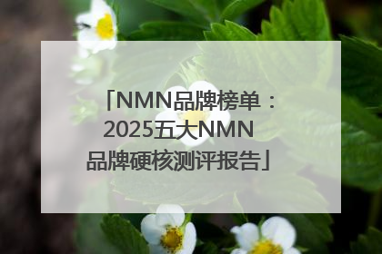 NMN品牌榜单：2025五大NMN品牌硬核测评报告